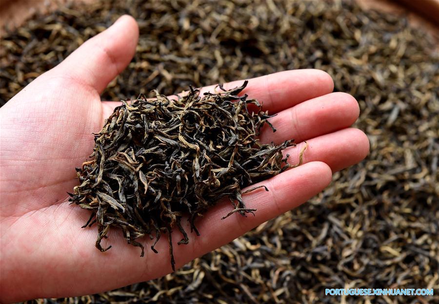 CHINA-FUJIAN-WUYI MOUNTAIN-BLACK TEA (CN)
