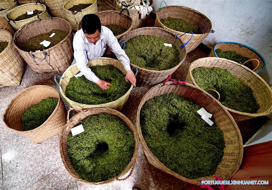 CHINA-FUJIAN-WUYI MOUNTAIN-BLACK TEA (CN)