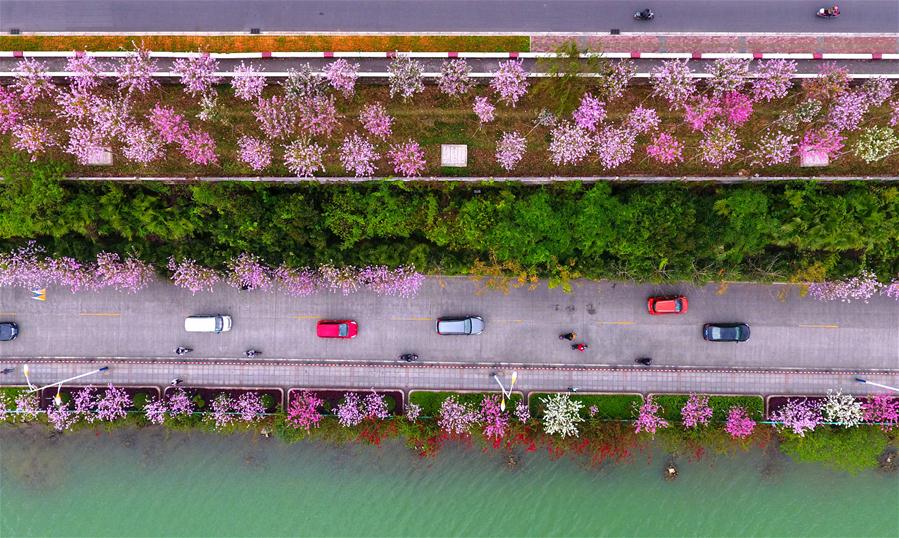 CHINA-GUANGXI-LIUZHOU-ENVIRONMENT (CN)