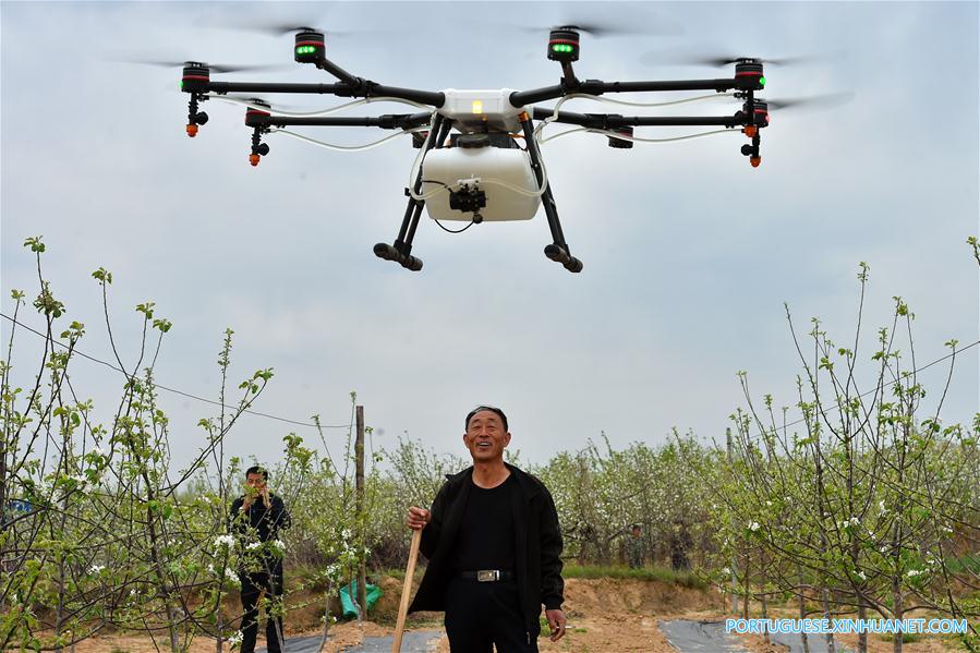 CHINA-SHANXI-DRONE-PESTICIDE (CN)