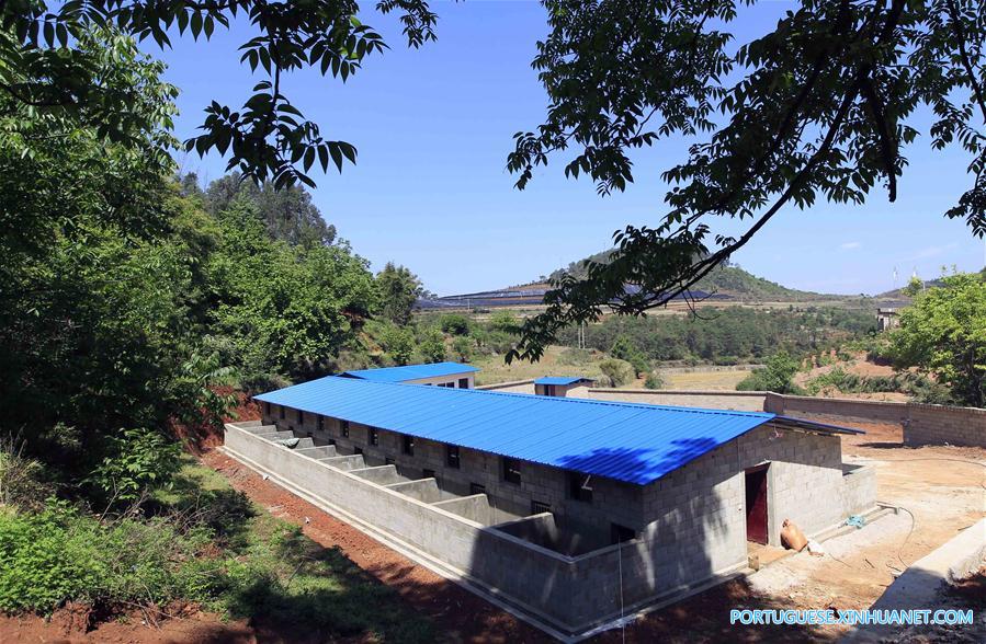 #CHINA-YUNNAN-LUQUAN-POVERTY RELIEF (CN)*