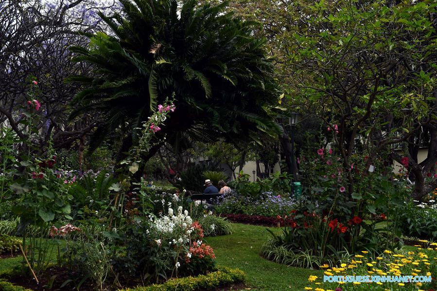 PORTUGAL-MADEIRA-LANDSCAPE 