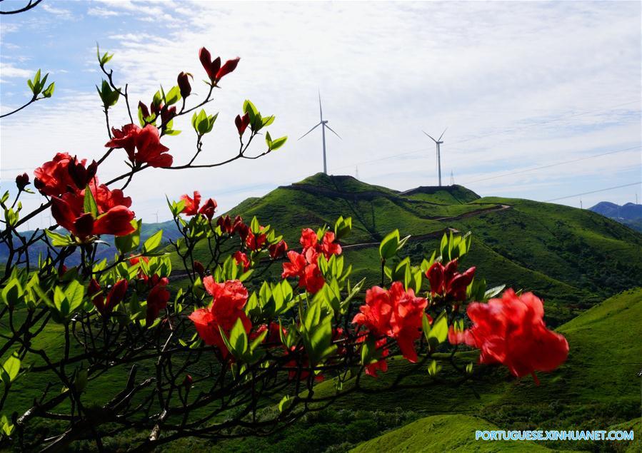 #CHINA-GUANGXI-LONGSHENG-WIND POWER FARMS (CN)
