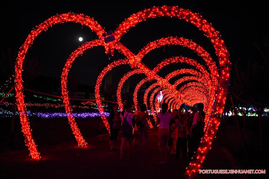 #CHINA-GUIZHOU-LIGHT FESTIVAL (CN)