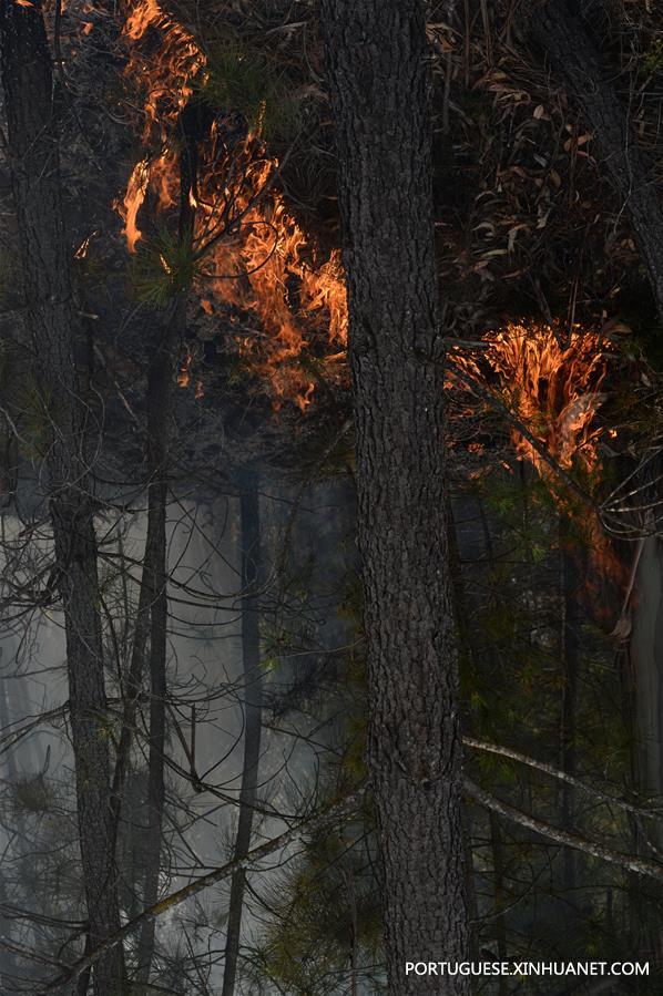 PORTUGAL-PEDROGAO GRANDE-FOREST FIRE