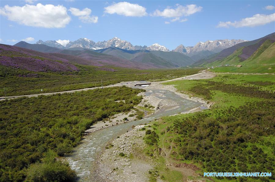 CHINA-GANSU-TIANZHU-QILIAN MOUNTAINS-SUMMER (CN)