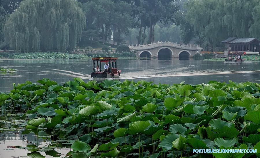 CHINA-BEIJING-YUANMINGYUAN-LOTUS (CN)