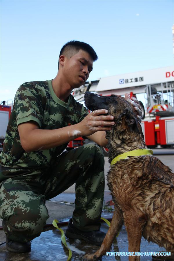 #CHINA-FUJIAN-DOGS-HEAT RELIEVING (CN)