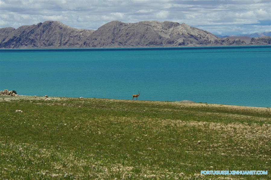 CHINA-NAGQU-SERLING TSO LAKE-SCENERY (CN)