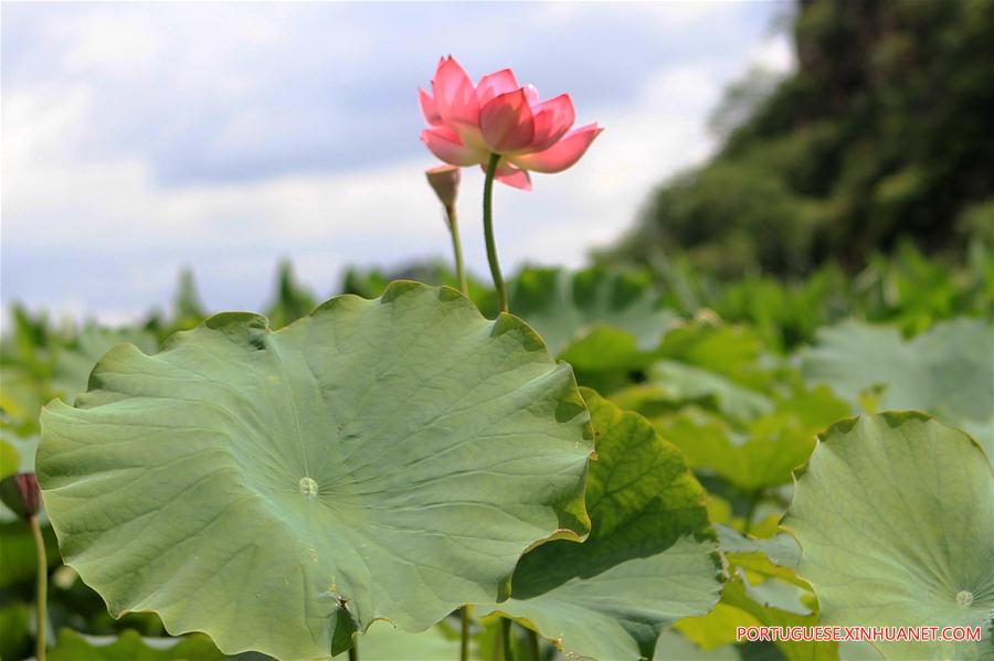 CHINA-YUNNAN-SCENERY(CN)