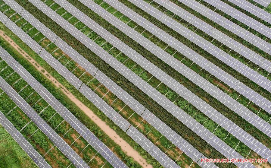 CHINA-HEBEI-PHOTOVOLTAIC POWER-AGRICULTURE(CN)