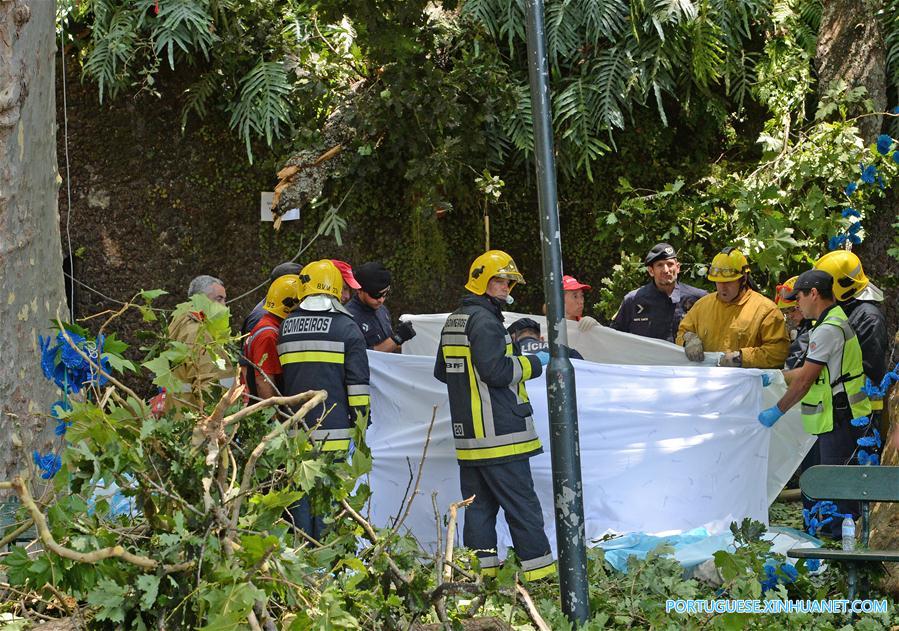 PORTUGAL-MADEIRA-TREE-COLLAPSE