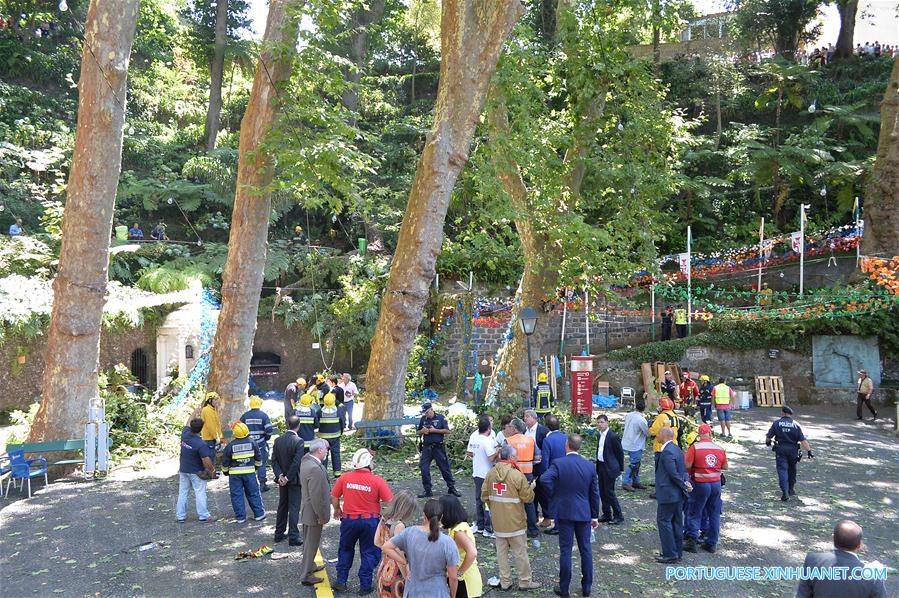 PORTUGAL-MADEIRA-TREE-COLLAPSE