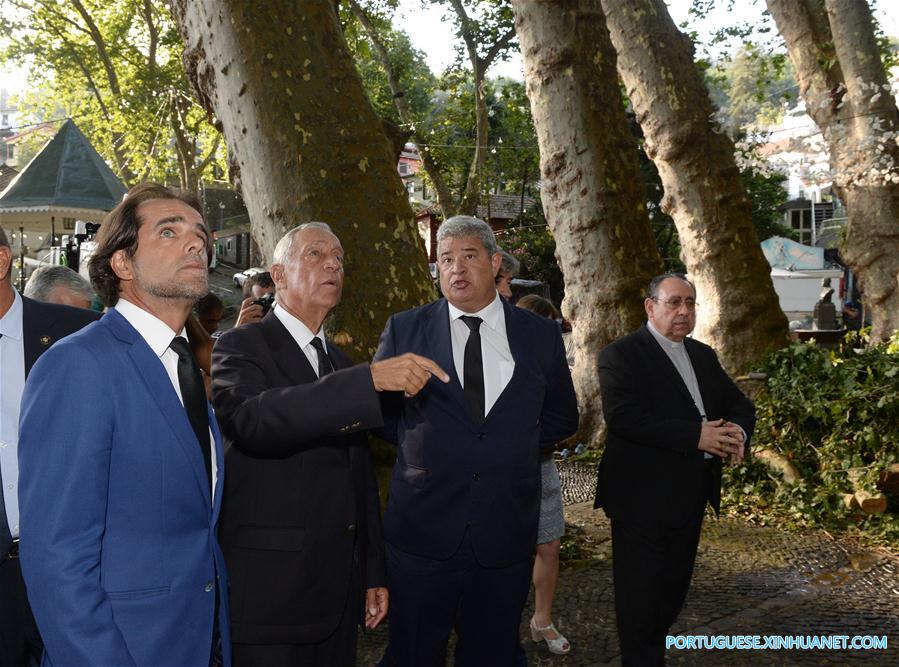 PORTUGAL-MADEIRA-TREE-COLLAPSE