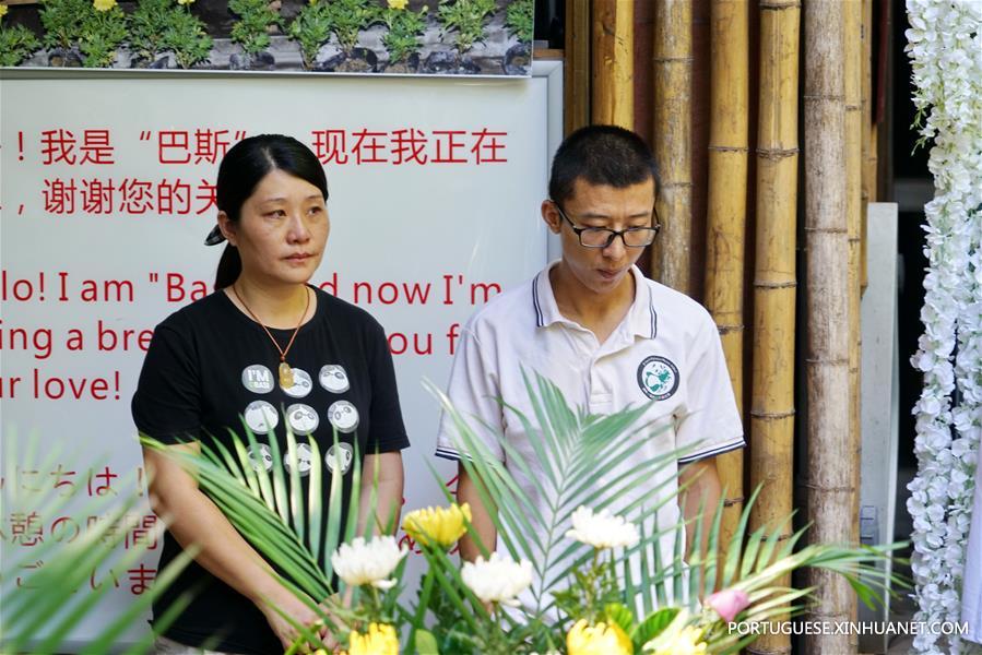 CHINA-FUZHOU-GIANT PANDA BASI-DEATH (CN) 