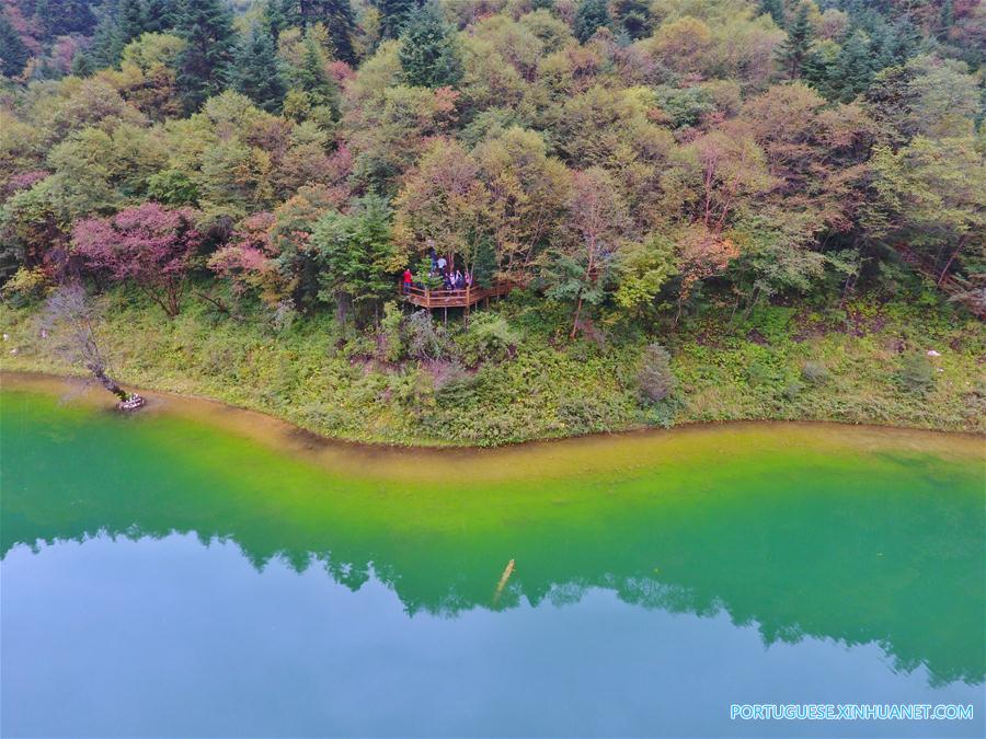 Resultado de imagem para Parque Florestal Nacional da Flor China
