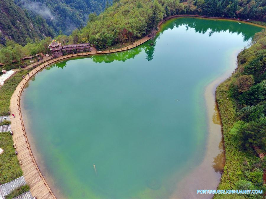 CHINA-GANSU-FOREST PARK-SCENERY(CN)