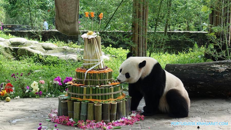 #CHINA-SICHUAN-GIANT PANDA-BIRTHDAY (CN)