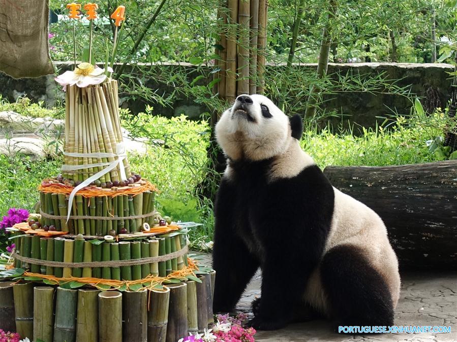 #CHINA-SICHUAN-GIANT PANDA-BIRTHDAY (CN)