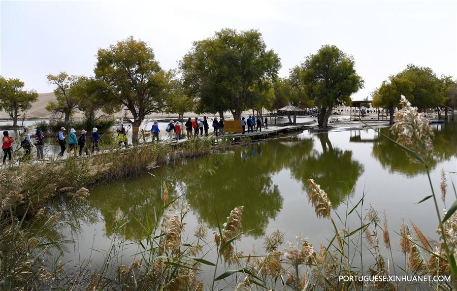 CHINA-XINJIANG-TARIM RIVER-SCENERY(CN)