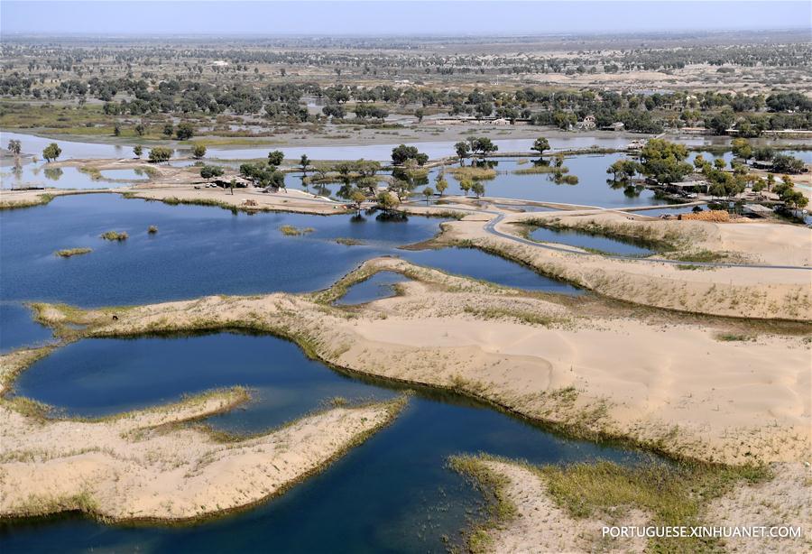 CHINA-XINJIANG-TARIM RIVER-SCENERY(CN)