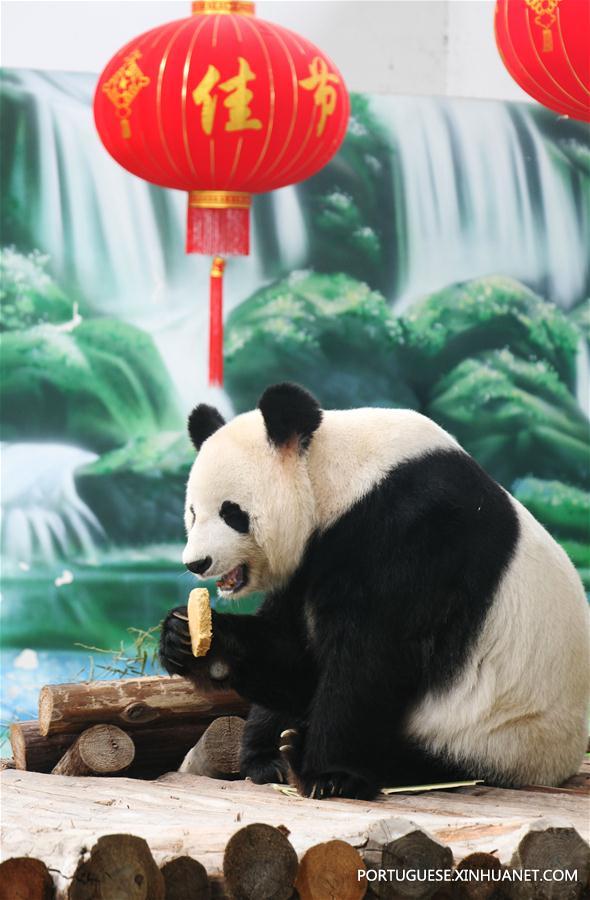 #CHINA-MID-AUTUMN FESTIVAL-CELEBRATION-GIANT PANDA (CN)