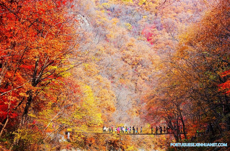 #CHINA-AUTUMN-SCENERY(CN)