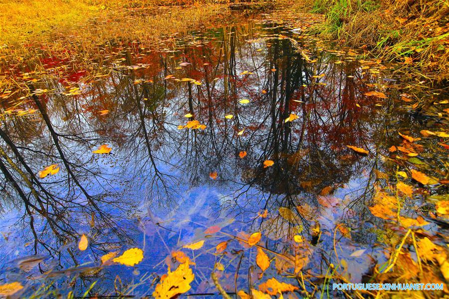 #CHINA-AUTUMN-SCENERY(CN)