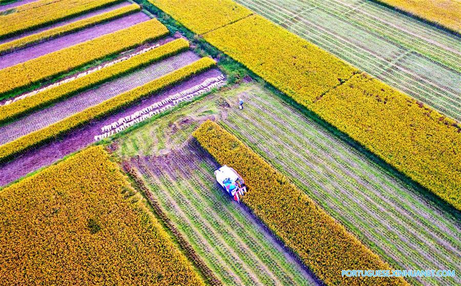 #CHINA-AUTUMN-SCENERY(CN)