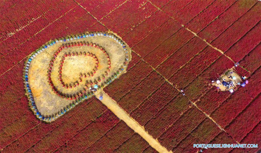 #CHINA-AUTUMN-SCENERY(CN)