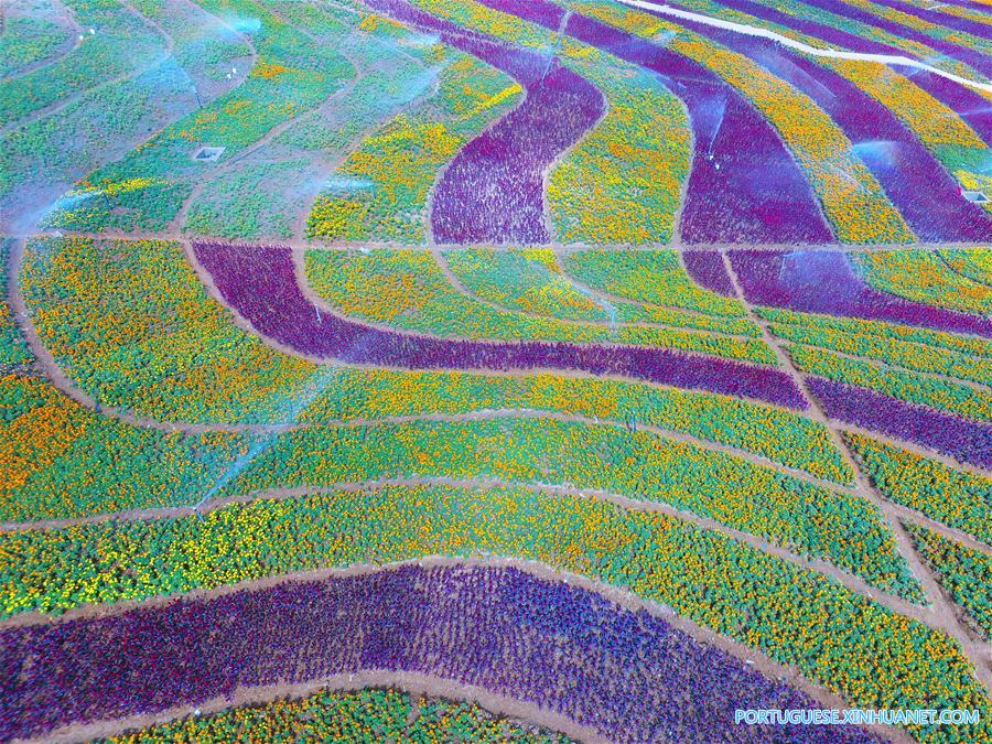 #CHINA-AUTUMN-SCENERY(CN)