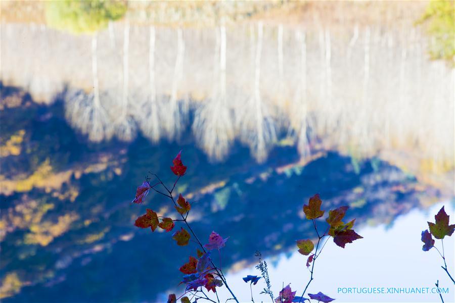 #CHINA-AUTUMN-SCENERY(CN)