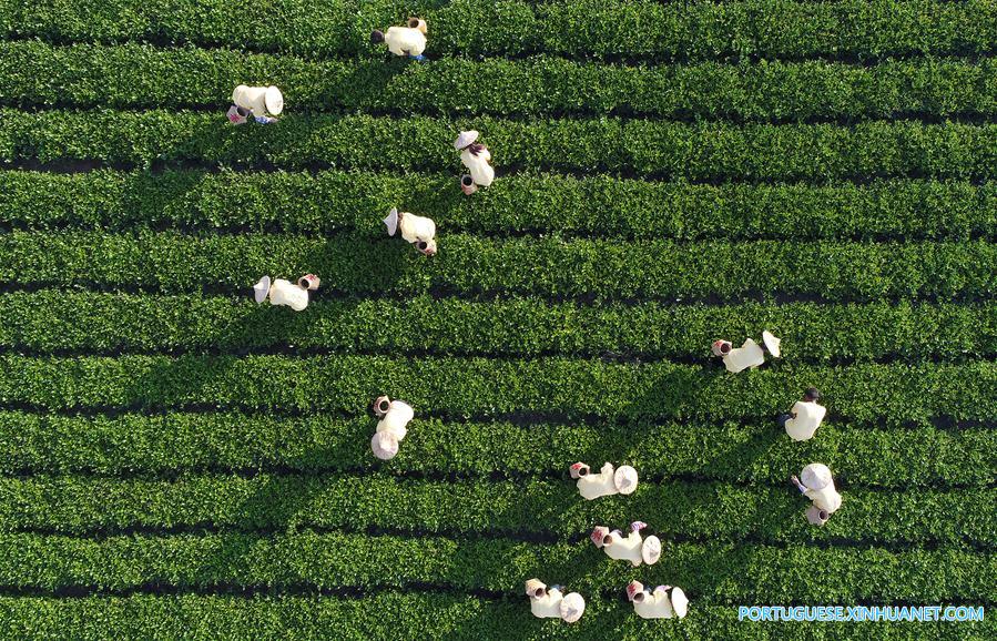 #CHINA-AUTUMN-SCENERY(CN)