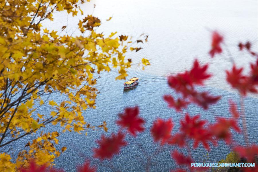 #CHINA-AUTUMN-SCENERY(CN)