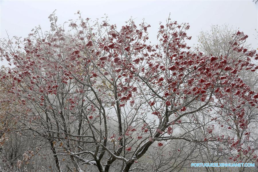 #CHINA-BEIJING-SNOW(CN)