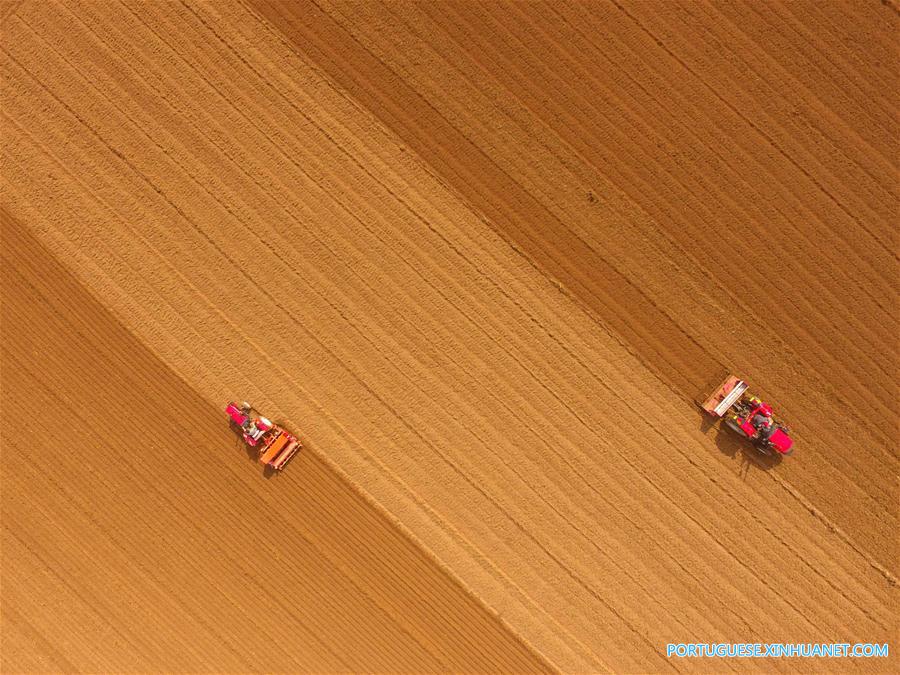 #CHINA-SHANDONG-AGRICULTURE-SOWING (CN)