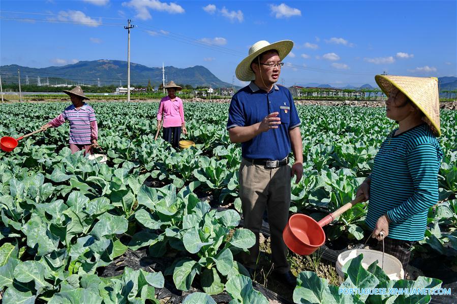 CHINA-FUJIAN-VILLAGE-CPC MEMBERS (CN)