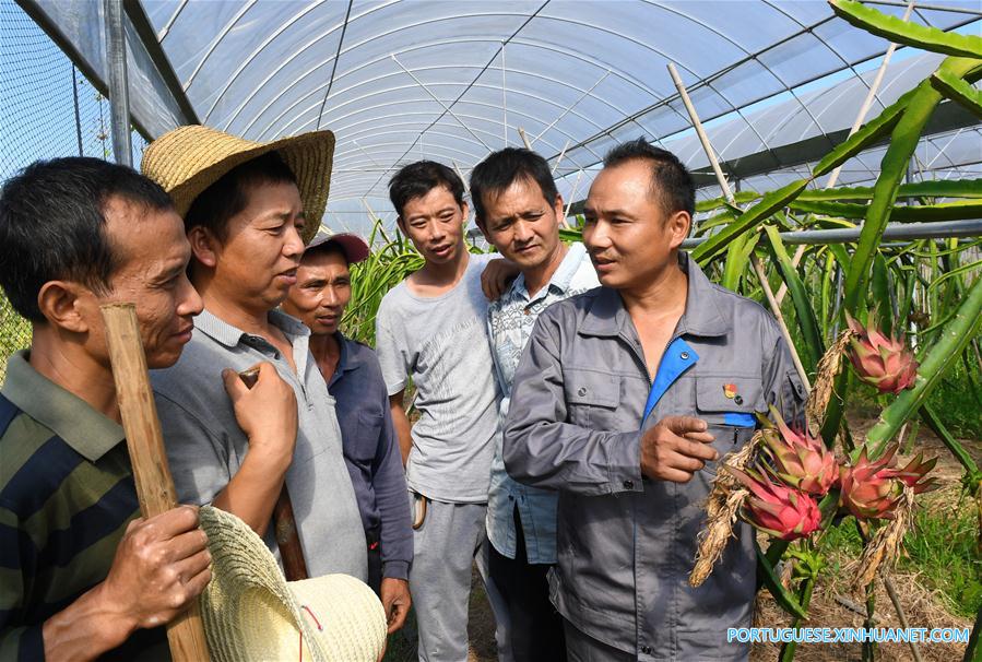 CHINA-FUJIAN-VILLAGE-CPC MEMBERS (CN)