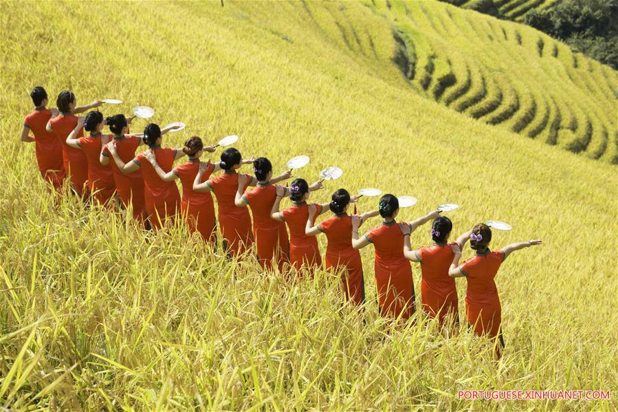 # CHINA-GUANGXI-AUTUMN-CHEONGSAM(CN)