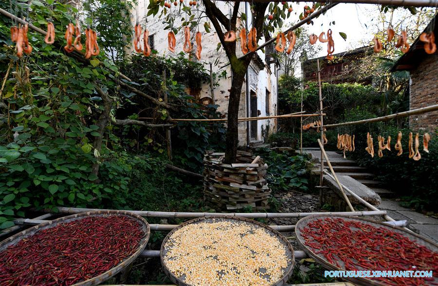 CHINA-JIANGXI-WUYUAN-AUTUMN HARVEST (CN)