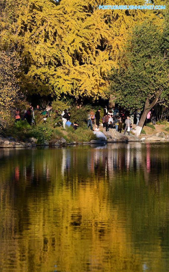 CHINA-BEIJING-AUTUMN SCENERY (CN)