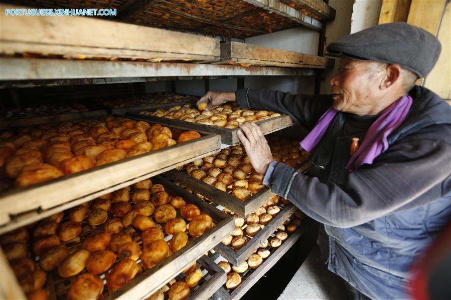 #CHINA-SHANDONG-PERSIMMON INDUSTRY (CN)