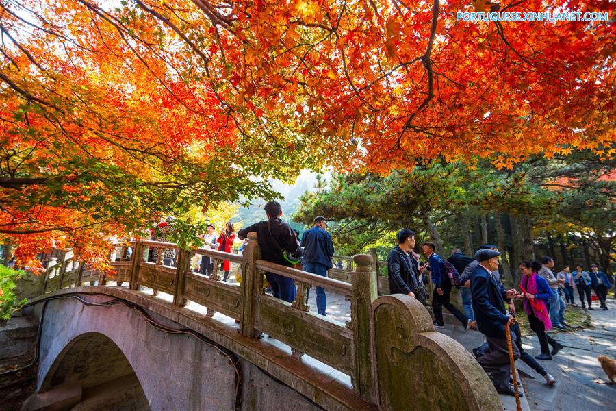 #CHINA-JIUJIANG-LUSHAN-AUTUMN SCENERY (CN)