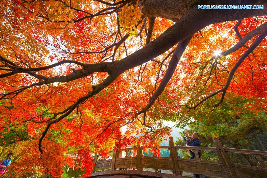 #CHINA-JIUJIANG-LUSHAN-AUTUMN SCENERY (CN)