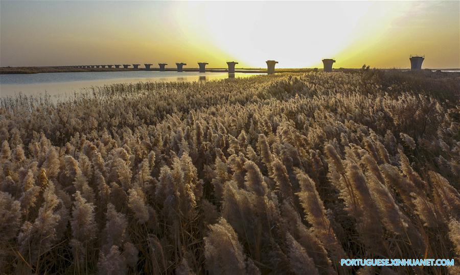 CHINA-XINJIANG-GOLMUD-KORLA RAILWAY-CONSTRUCTION (CN)