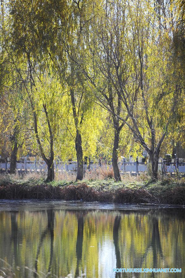 CHINA-LHASA-LALU WETLAND (CN)