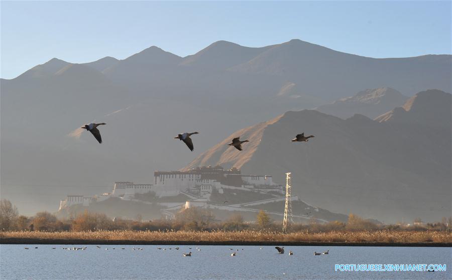 CHINA-LHASA-LALU WETLAND (CN)