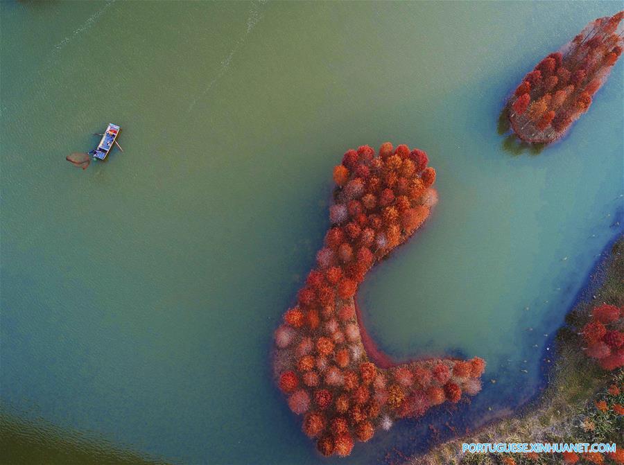 #CHINA-JIANGSU-XUYI-TIANQUAN LAKE (CN)