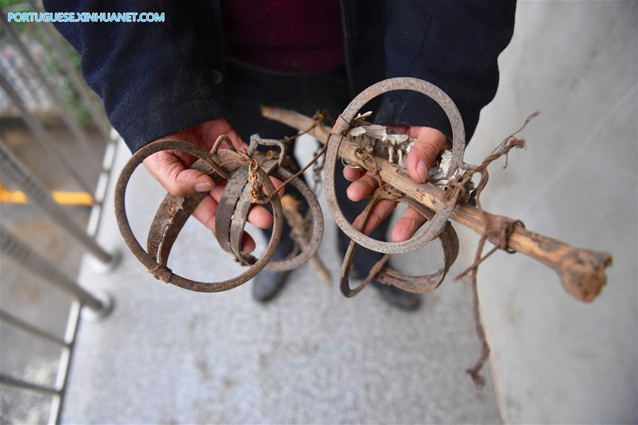 CHINA-JIANGXI-BIRDS PROTECTION-VOLUNTEER (CN)