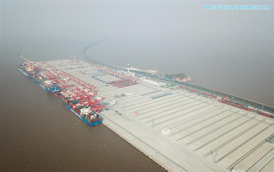 CHINA-SHANGHAI-AUTOMATED CONTAINER TERMINAL-OPEN (CN)